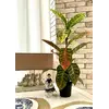 Кротон искусственный 60 см в горшке Кротон искусственный 60 см в горшке