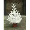 Ёлка Traditional литая в горшке 50 см белая новинка Ёлка Traditional литая в горшке 50 см белая новинка