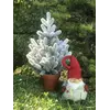 Ёлка Traditional литая в горшке 50 см заснеженная новинка Ёлка Traditional литая в горшке 50 см заснеженная новинка