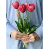Искусственные тюльпаны латексные махровые, букет 5 цветков ярко-розовый Real Touch Искусственные тюльпаны латексные махровые, букет 5 цветков ярко-розовый Real Touch