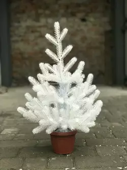 Ёлка Traditional литая в горшке 50 см белая новинка Ёлка Traditional литая в горшке 50 см белая новинка