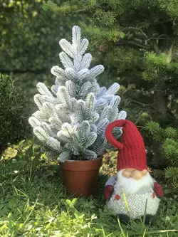 Ёлка Traditional литая в горшке 50 см заснеженная новинка Ёлка Traditional литая в горшке 50 см заснеженная новинка